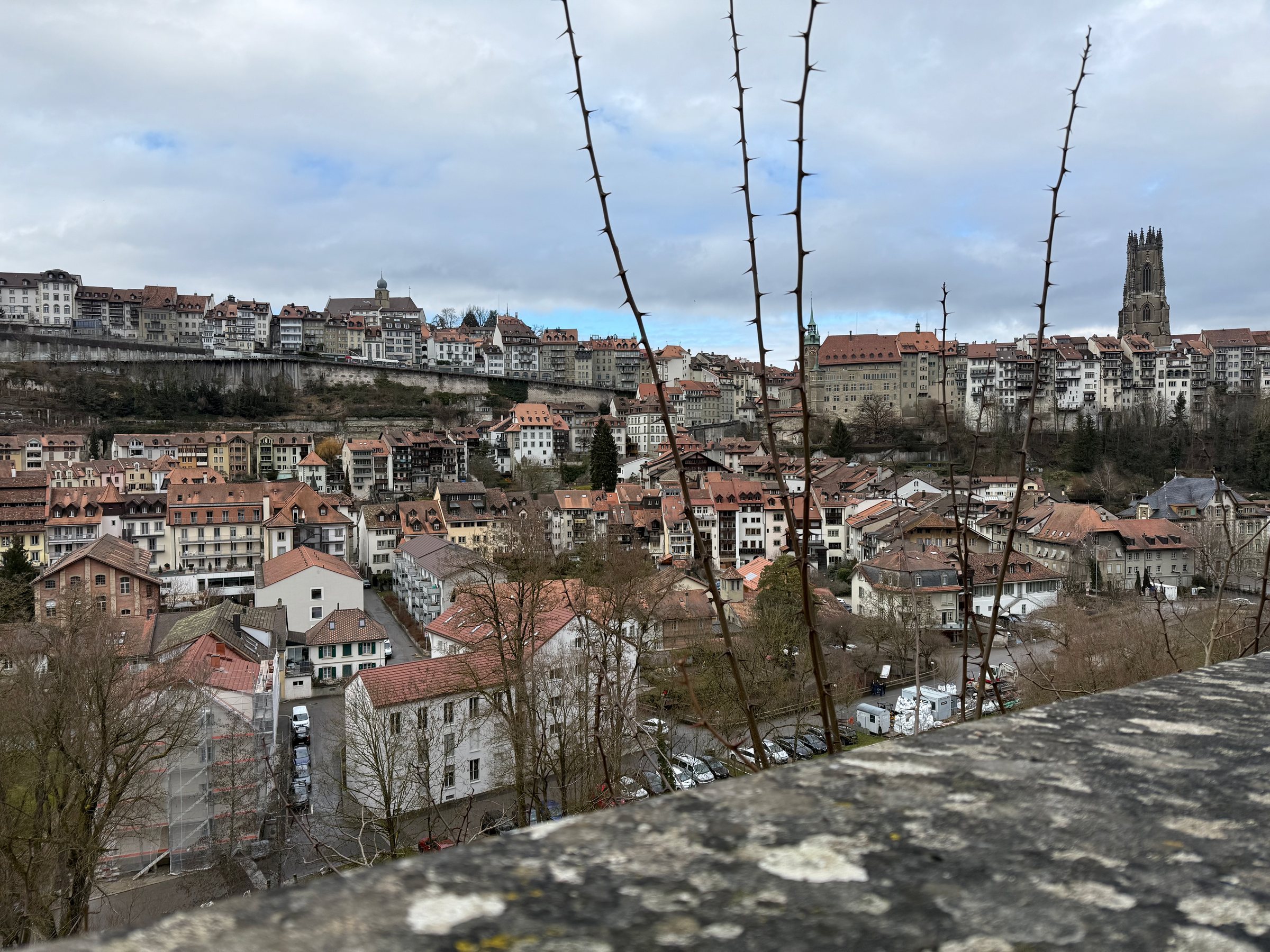 Vue sur la ville en hiver, toits rouges sous un ciel nuageux.